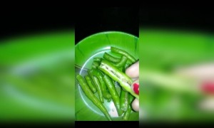 मसाला मिर्ची फ्राई...