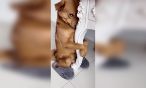 कोणीही माझ्याशी बोलत नाही...