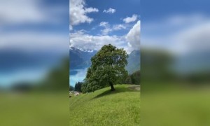 याला म्हणतात निसर्ग