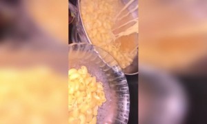 मॅग्गी पास्ता रेसिपी...