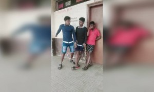 म्हणून डासा आम्हाला चावत नाही...😂😂