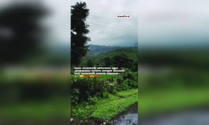 मला आठवणी जपायला खूप आवडतात...