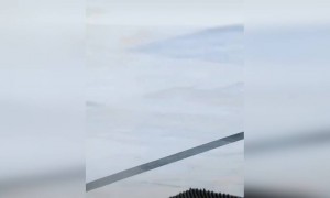 तू मला..फसवू नकोस