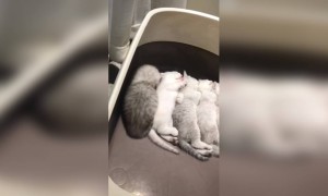 माझे जागा कोठे ?