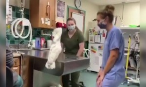 चला आपण नाचू या..