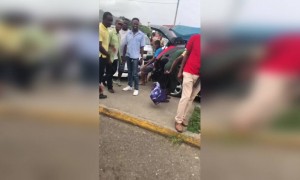 तुला मासे पाहिजे का ?