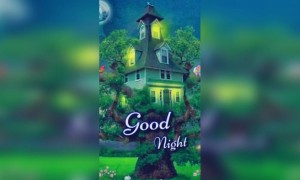 शुभ रत्री...