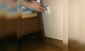 प्लग कुठे गेले ?