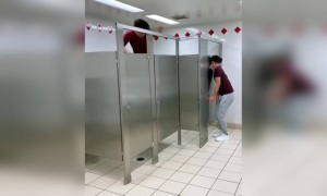 अरे देवा, साप...