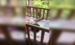 सदैव तुझ्याबरोबर राहील...