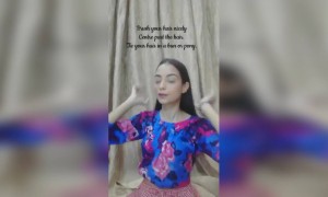 केसांची स्टाईल...