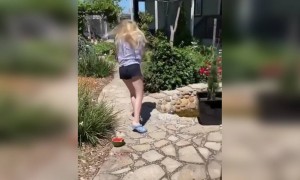 लई भारी लागला रे देवा....