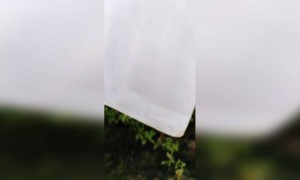 कोरा कागज चा शुभेच्छा