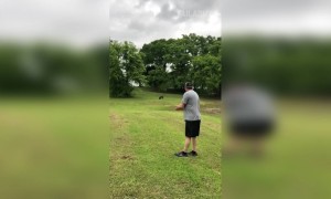 ये ये जवळ ये....