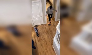 काय आहे हे..🤭 मॅडम 🤪😂