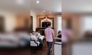 तोडते कि काय