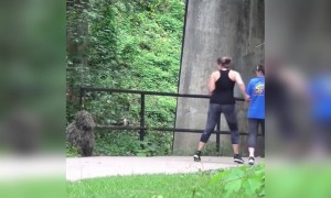 अरे देवा हे काय आहे...