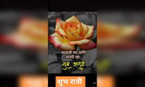 ..शुभ रात्री