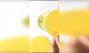 कागदाची कला...