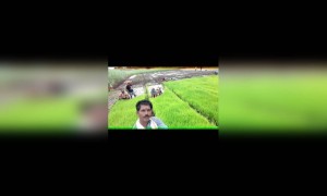 | देव पावला |