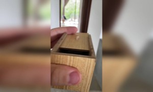 भन्नाट मजा