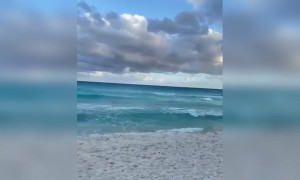 बीच मधला नजारा