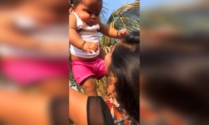 क्युट बेबी