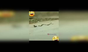 .हे काय😲