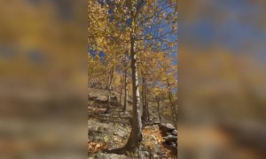 बघा हा नजारा आहे हा