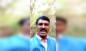 व्हिडीओ बघा