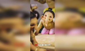 माझा बाप्पा.....