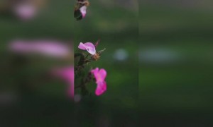 आजचा नजारा