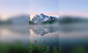 बघा हा नजारा