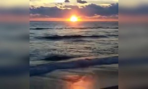 मस्त गाणं..