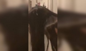 भन्नाट मजा