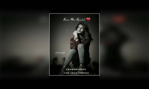 तुम्ही हा व्हिडीओ बघाच