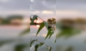 सूर्याची रोशनी