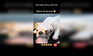 अरे हे काय रे देवा🔥