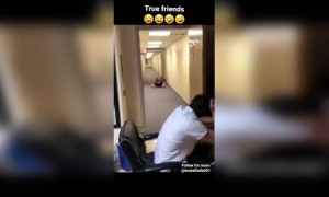 खरा मित्र..