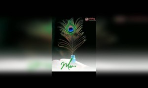 नात्यांचे महत्व....