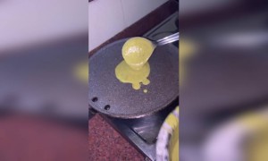 आजचा नाश्ता...