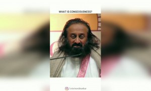 चेतनायुक्त (consciousness) म्हणजे काय ?