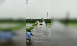 तोडते कि काय .