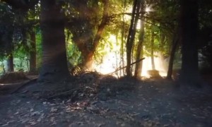 चला सुंदर निसर्ग पाहू या...