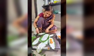 सर्वांना नागपंचमीच्या शुभेच्छा..!!!