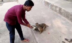 नोट बंदी note bandi meme