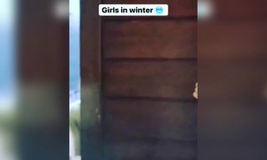 बघा हा मजेदार व्हिडीओ..!!!